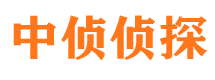 平乐侦探公司